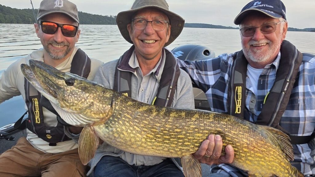 Teilnehmer mit Hecht auf Angelguiding Tour bei Jan Pusch – Hechtangeln  in MV auf dem großen Schweriner See