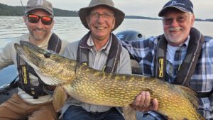 Teilnehmer mit Hecht auf Angelguiding Tour bei Jan Pusch – Hechtangeln in MV auf dem großen Schweriner See