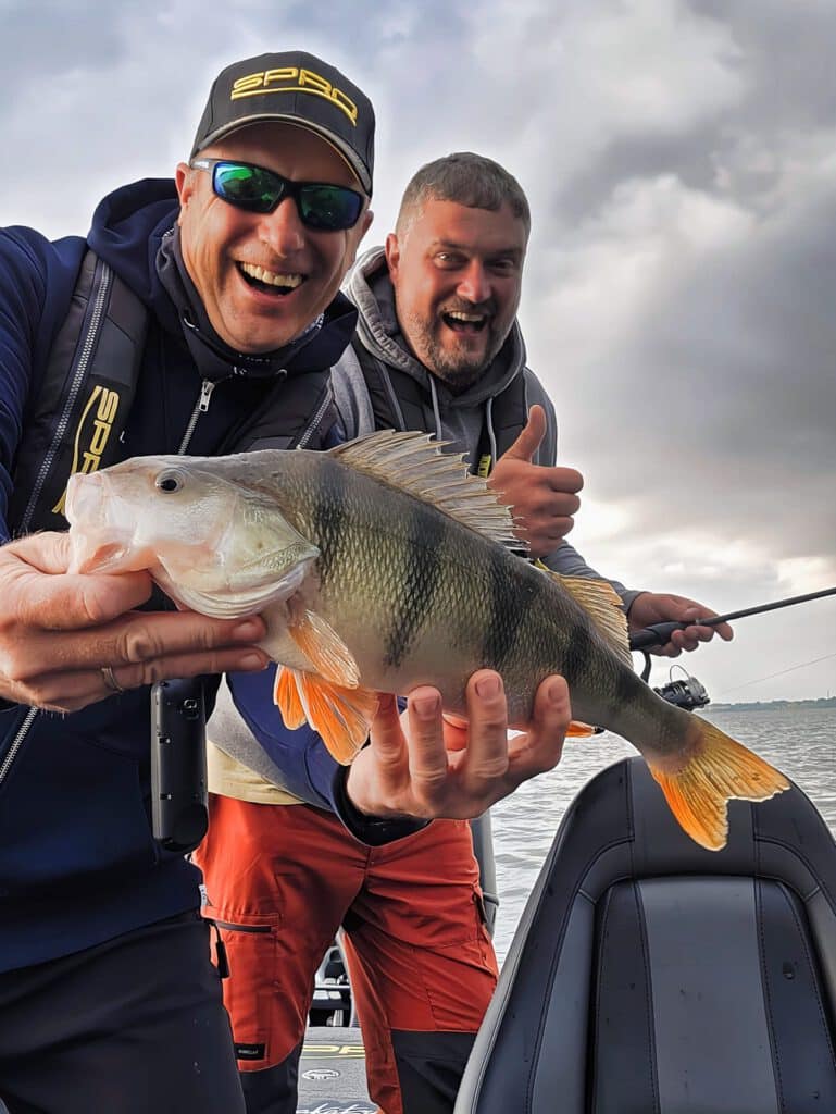 Barschangeln  Schweriner See - Jan Pusch angelt mit einem Teilnehmer auf große Barsche