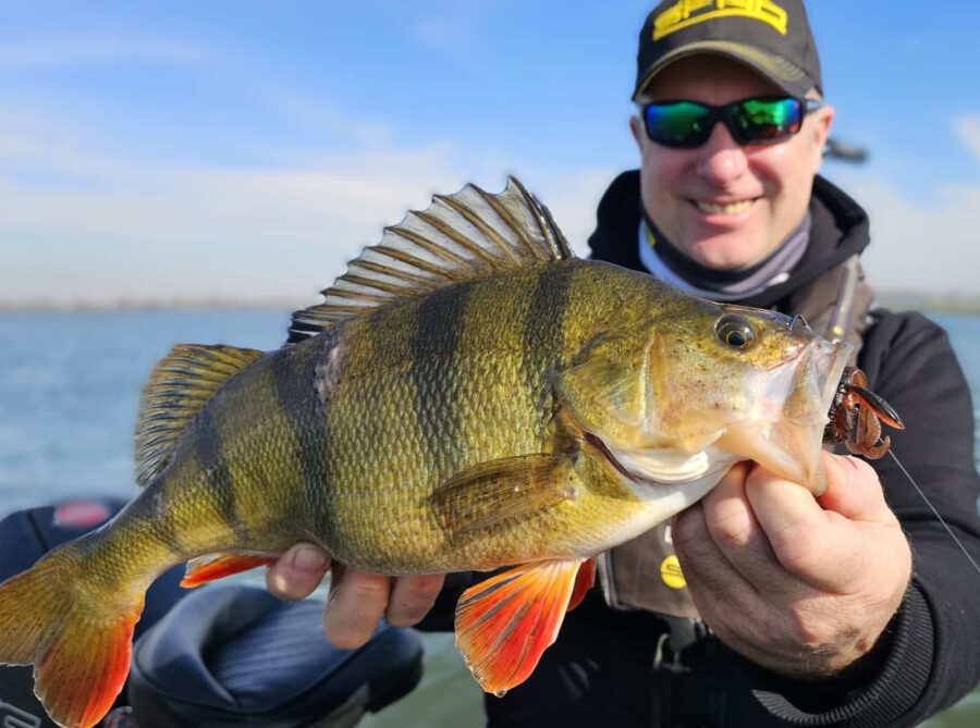 Angeln Schweriner See