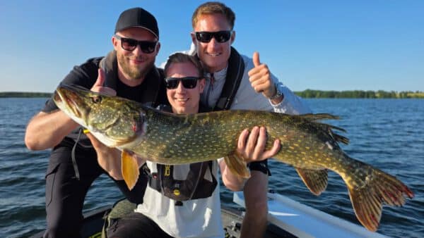 Geführte Angeltour Schweriner See – glückliche Angler mit großem Hecht - Jan Pusch Angelschule NORD