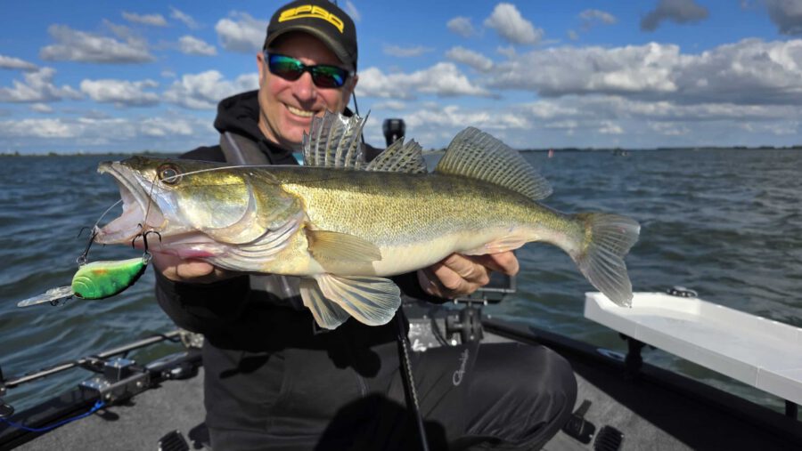 angeln schweriner see auf zander mit Guide Jan Pusch
