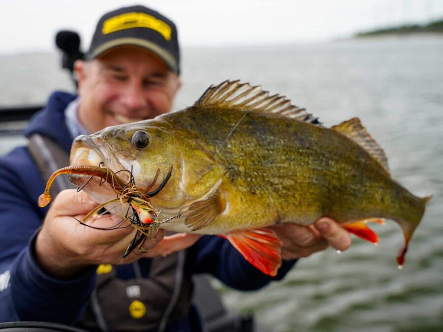 Jan Pusch - Guide Schweriner See