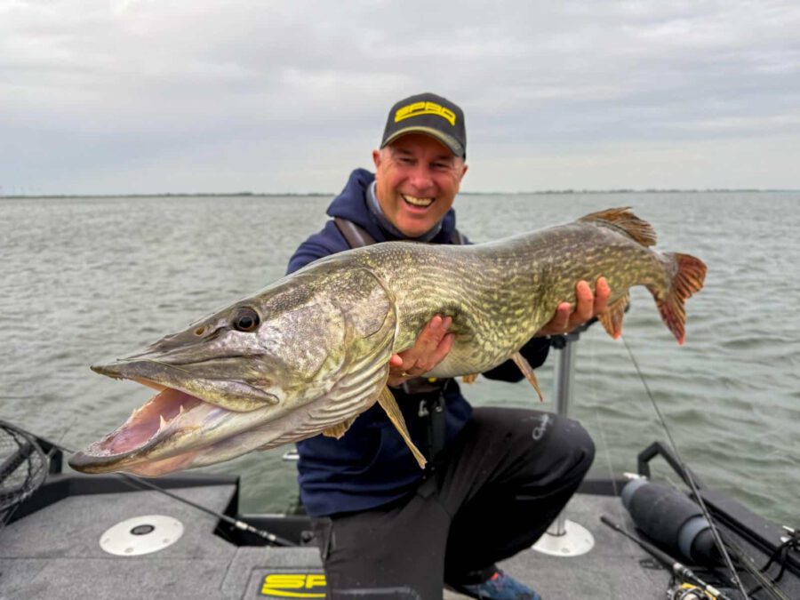 Angeln Schweriner See mit Guide Jan Pusch