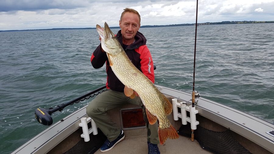 Guide Schweriner See: Henrik Schmidt mit Hecht auf Angeltour