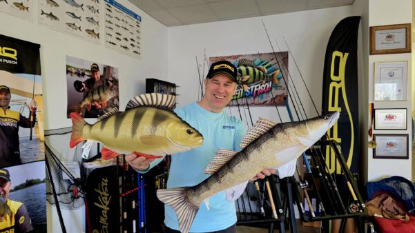 Fischarten Angelschein – Übersicht wichtiger Prüfungsfische