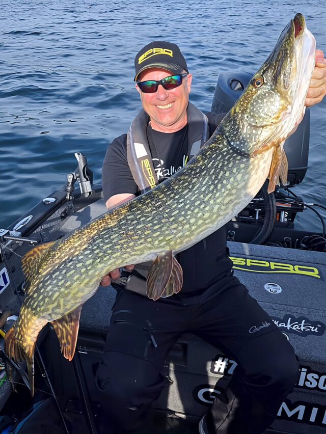 🎣 Erst der Biss, dann der Kaffee. So startet man den Tag richtig. 😎 Viel Erfolg da draußen – und vergesst nicht: #zeitistfisch 

#hechtangeln #pikefishing #bigpike #catchoftheday 
#hechtfang #hechtjäger #northernpike #raubfischangeln 
#schwerinersee #angelnindeutschland #fishinggermany 
#fishinglife #fishingphotography #janpusch #angelschulenordpunktde