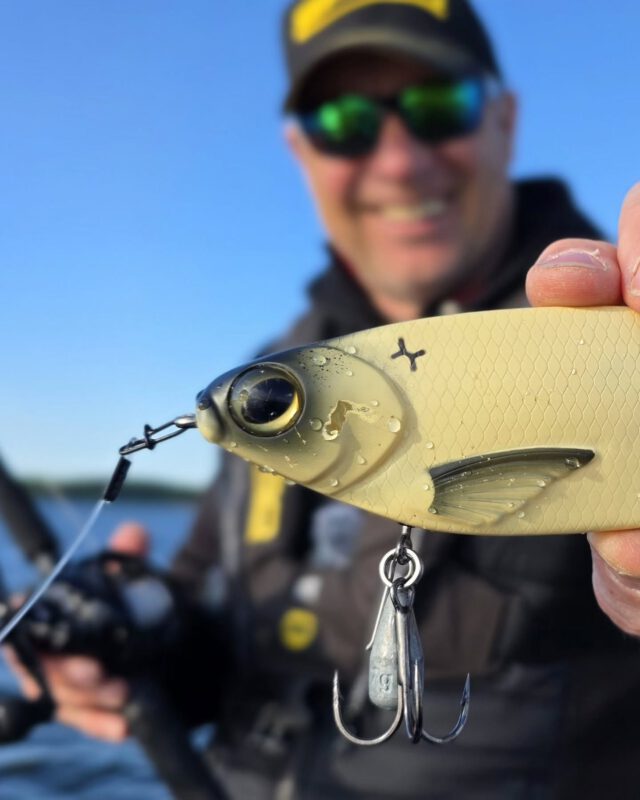 Gewichte ermöglichen eine etwas schnellere Absinkphase, ohne den Köderlauf zu beeinträchtigen. #kgbshad #bone #kgbchadshad
#zeitistfisch #spro #gamakatsu #raubfischangeln #hechtangeln #fishing #angeln #janpusch #schwerinersee #ilovefishing #fishingaddict #hecht #pike #esox #kgb #pikefishing