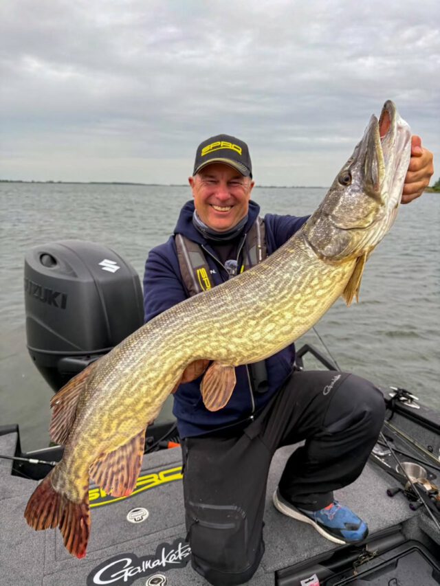 Wünsche einen fischreichen Sonntag 🎣 #zeitistfisch 

#pikefishing #SuzukiMarine #Modell #theultimateoutboardmotor #hechtangeln #ilovenature💚 #ilovefishing #spro #garminfishing #angeln #angelschulenord #meterhecht #ALBA570