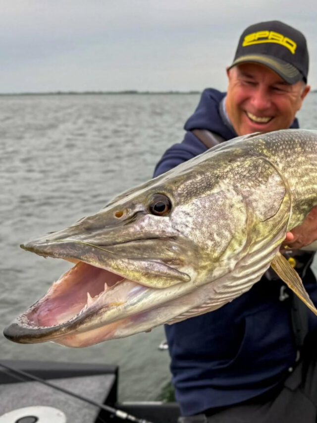 Angeln, fischen & eine Woche wach 🎣🤪 #zeitistfisch
#ilovefishing #einewochewach #angelnmachtglücklich #bigpike #meterhecht #esox #hechtfang #hechtangeln #fishing #angeln #fishingismylife