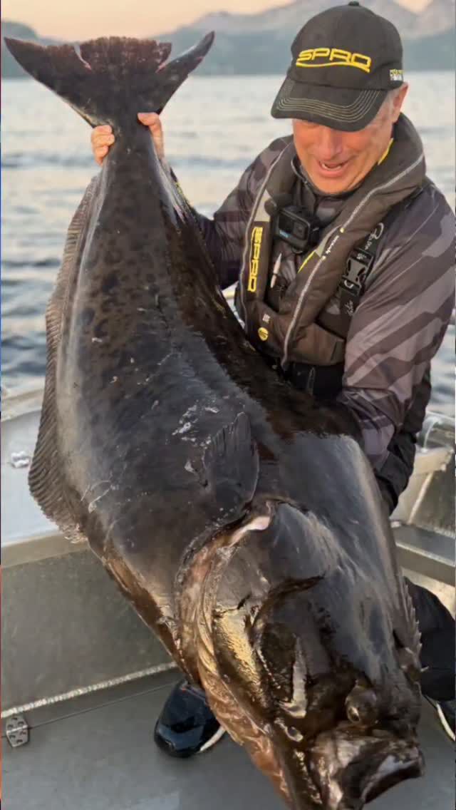 Die Wahrheit über Sommersel Fishing Camp. Jetzt auf YouTube ➡️ janpuschofficial 🎬 #Eigenwerbung

#sommersel #fishingtrip #fishingcamp #norway #norwegen #angeln #urlaub #ferien #ferienhaus #skandinavien #heilbutt