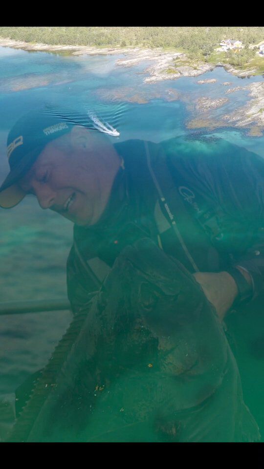 Die Nordmeer Giganten vor Sommersel ➡️ Full Video in YouTube 

#norwegen #fiahing #heilbutt #meeresangeln #salzwasser #norway #sommersel #spro  #zeitistfisch