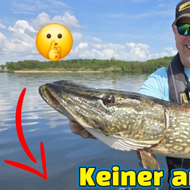 ➡️ YouTube #Janpuschofficial #zeitistfisch