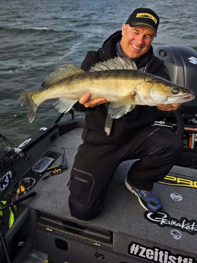 best weather 🎣 🤩 #zanderfishing