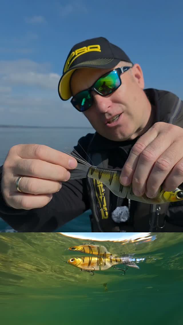Darum ist er so genial. 🎣▶️ #zeitistfisch

#kgbshad #spro #gamakatsu #hechtangeln #raubfisch #raubfischangeln #hardbait #ilovefishing #andersangeln #mehrfangen